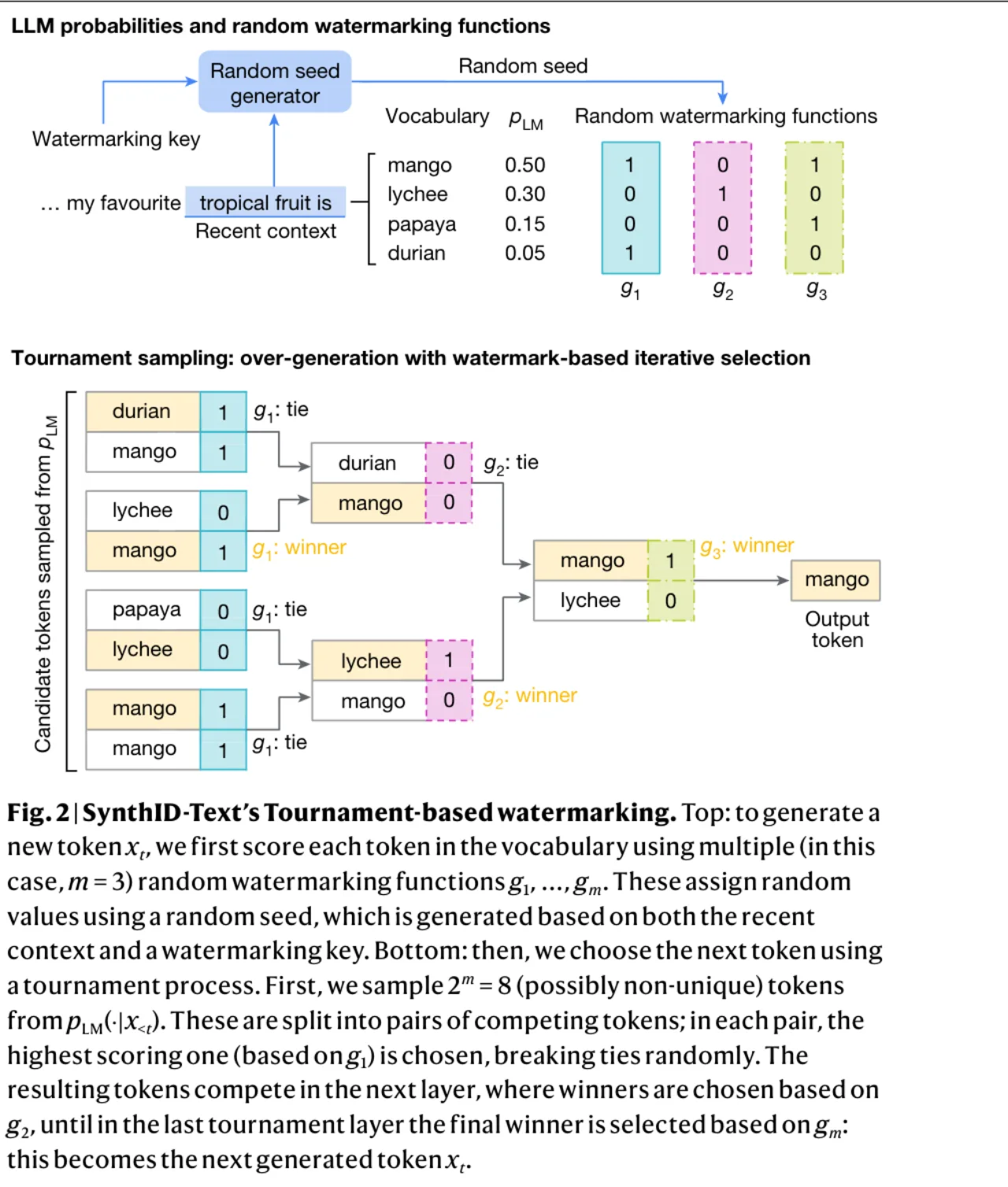 토너먼트 샘플링 예시 Fig. 2, 망고·리치·파파야·두리안 후보가 g1~g3로 겨뤄 망고가 남는 과정