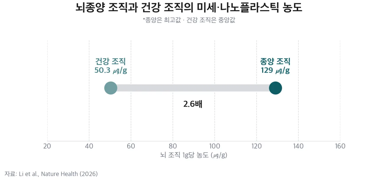 뇌종양 조직과 건강 조직의 미세·나노플라스틱 농도 차이