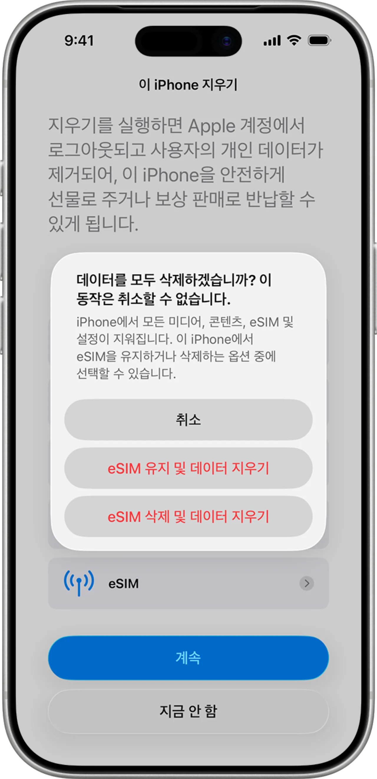 초기화 중 eSIM 유지와 삭제를 고르는 화면