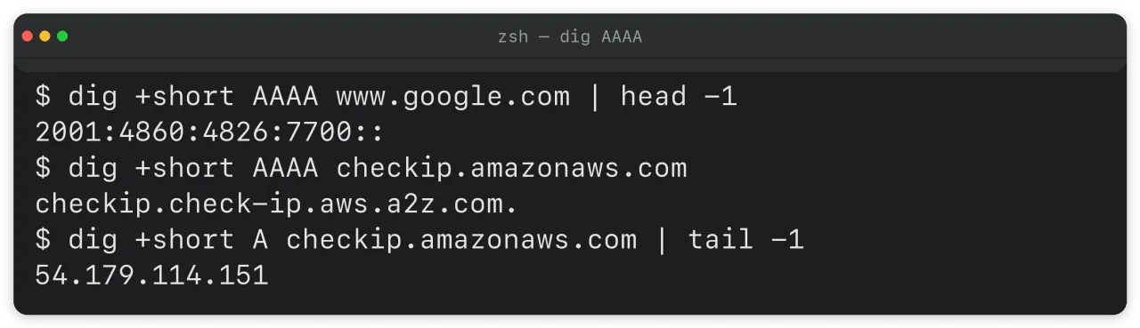 IPv4-only 엔드포인트를 dig로 확인한 세션